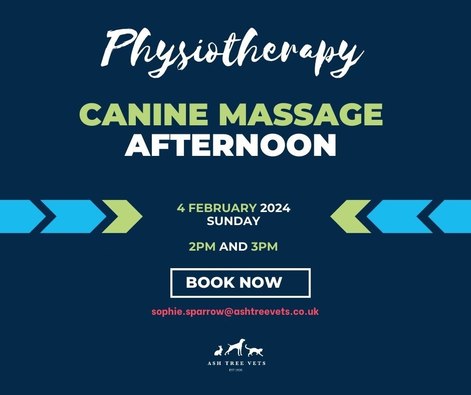 Canine Massage Afternoon Post
