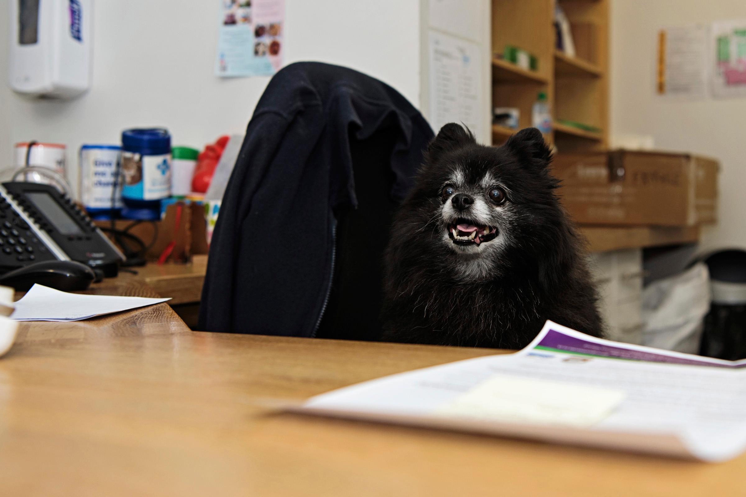 Pacino manning the reception desk