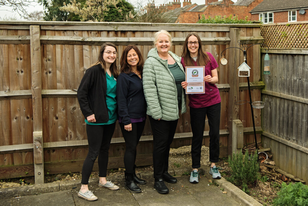 Green Team IIE Accreditation