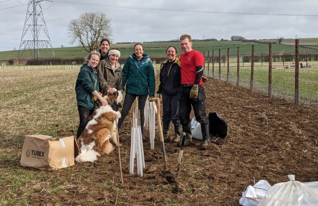Green Team Tree Planting