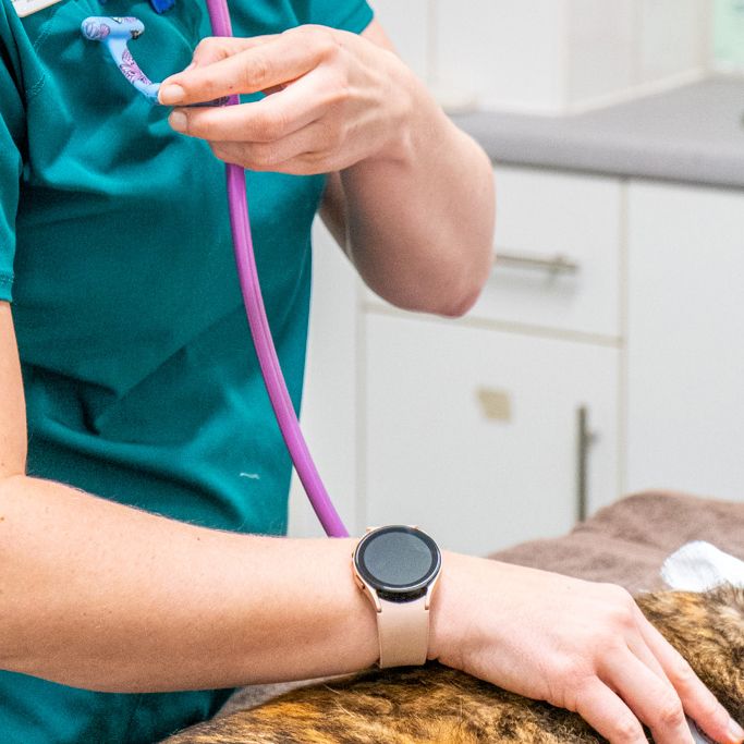 Nurse monitoring stats