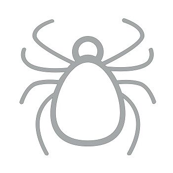 Icon Parasite