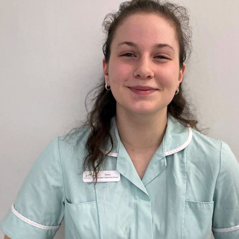 Staff Profile Alexia