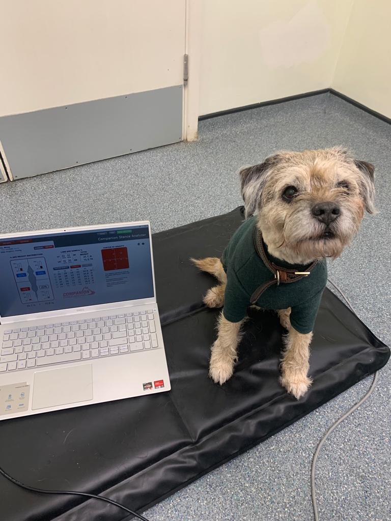 Eddie at a Stance Analysis Session