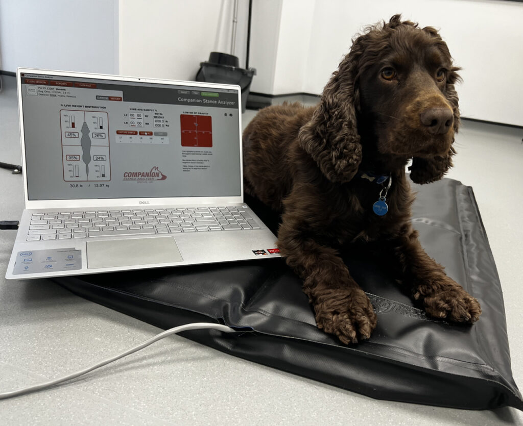 Gordon Relaxing on the Stance Analyser Mat