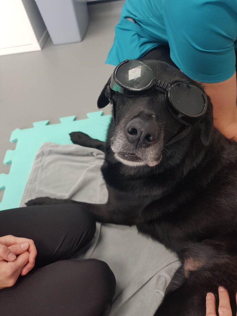 Lily Enjoying Laser Treatment
