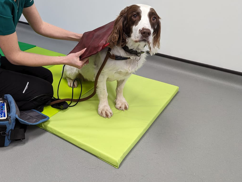 Sky Enjoying Some Physio Treatments