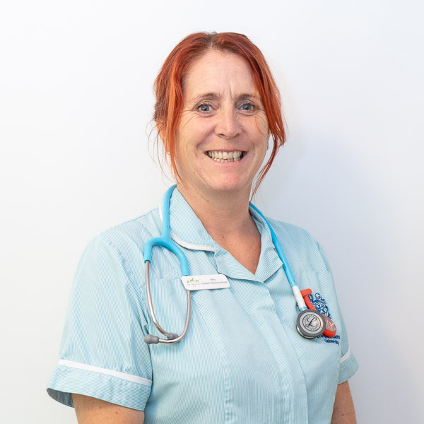 Staff Profile Amy