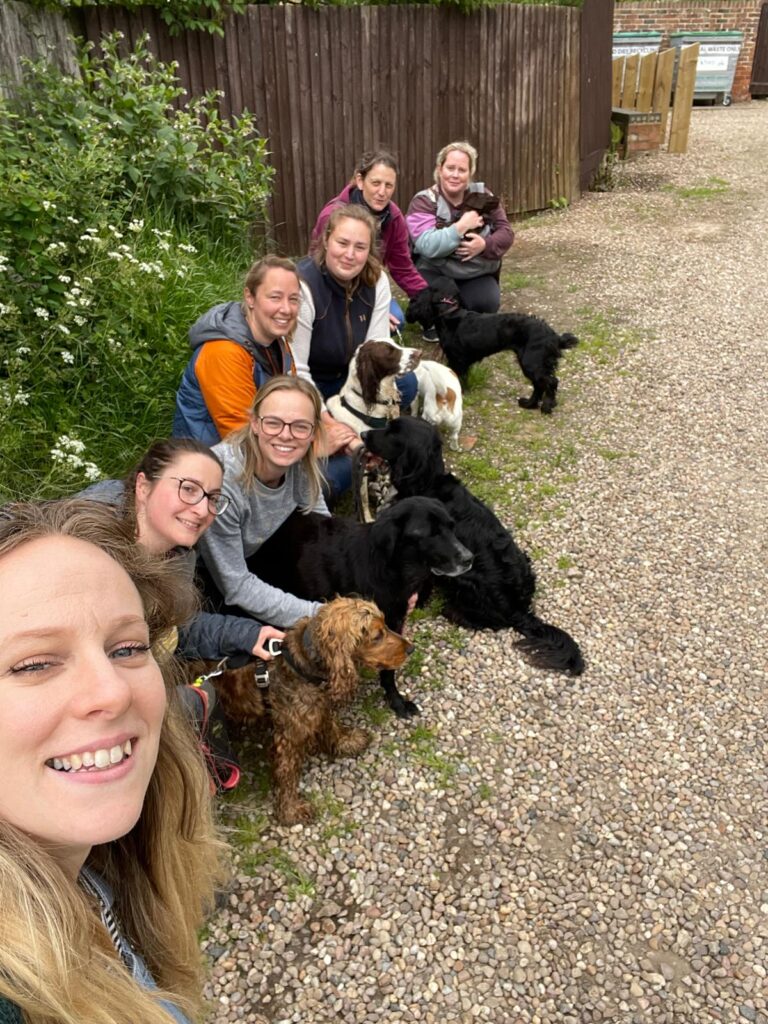 Vet Nurse Dog Walk