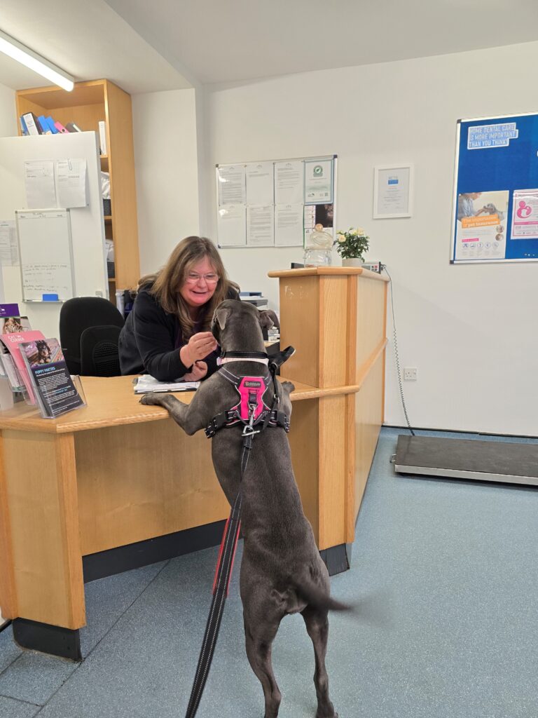 Staff Meeting Patients in Reception