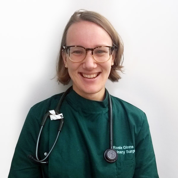 Staff Profile Rosie