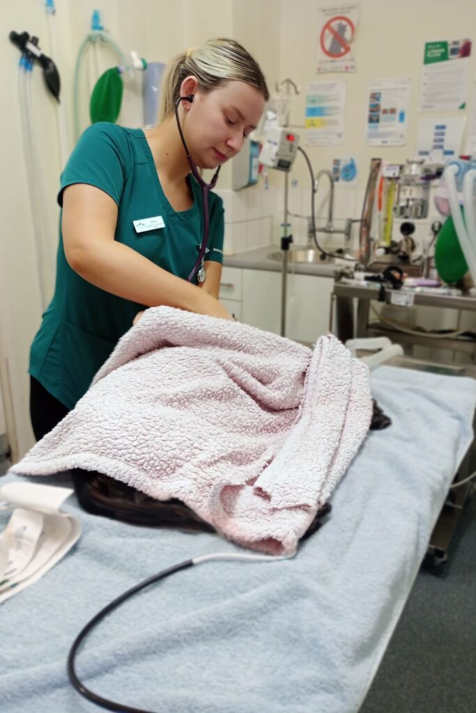 RVN Emily Monitors a Patient During Surgery