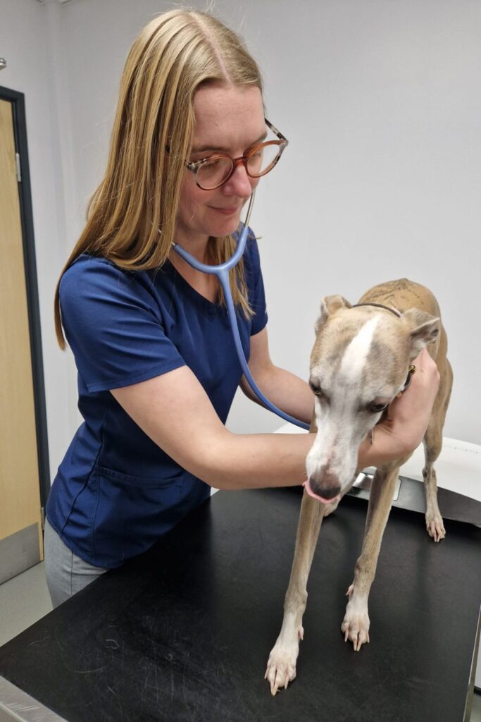 Lucy checks patient