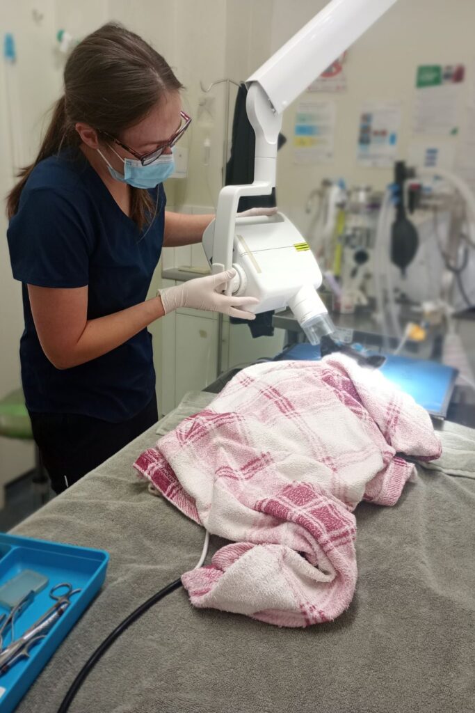 Nicole preparing for dental x-ray