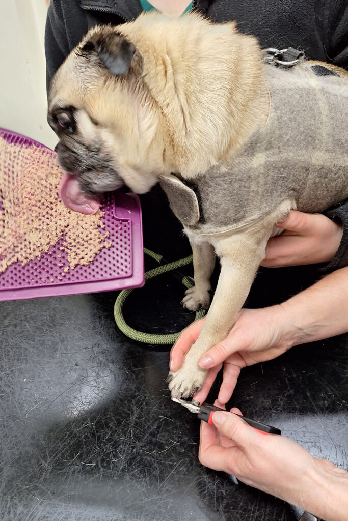 Wolsey's Licky Nail Clip